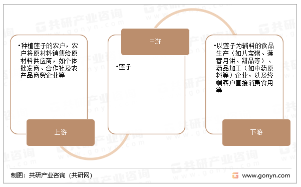 莲子行业产业链