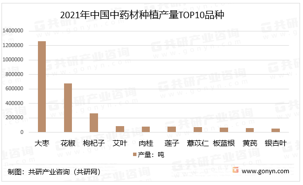 2021年中国中药材种植产量TOP10品种