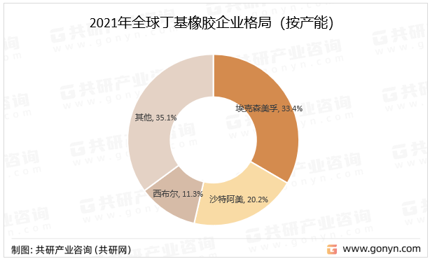 2021年全球丁基橡胶企业格局（按产能）