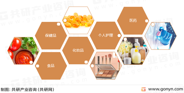 番茄红素主要应用领域
