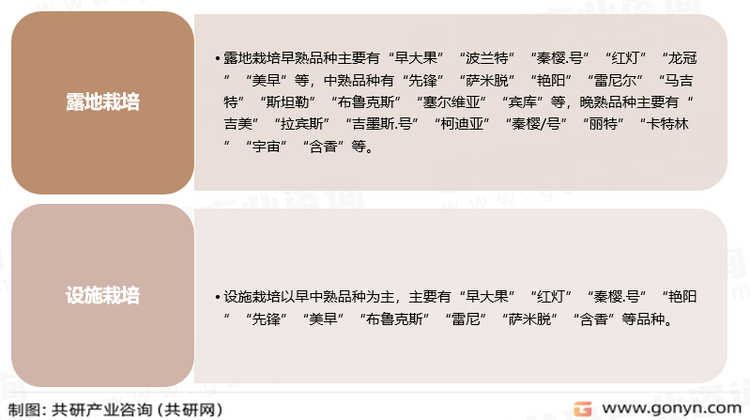 陕西省樱桃品种结构
