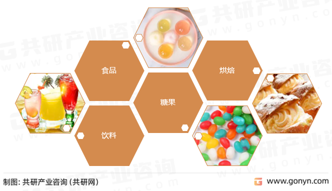 椰奶粉主要应用领域
