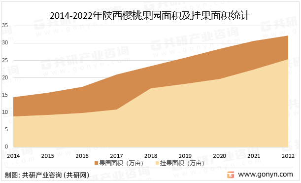 2014-2022年陕西樱桃果园面积及挂果面积统计