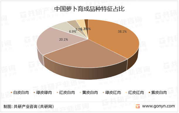 中国萝卜育成品种特征占比