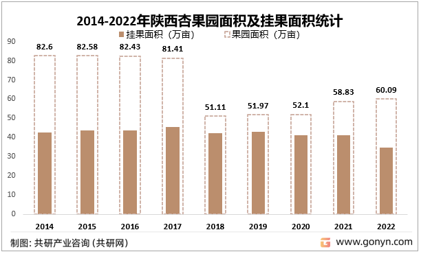 2014-2022年陕西杏果园面积及挂果面积统计