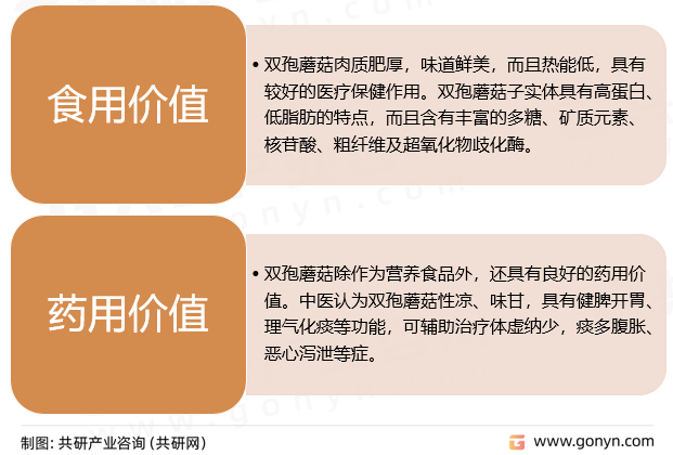 双孢蘑菇主要价值