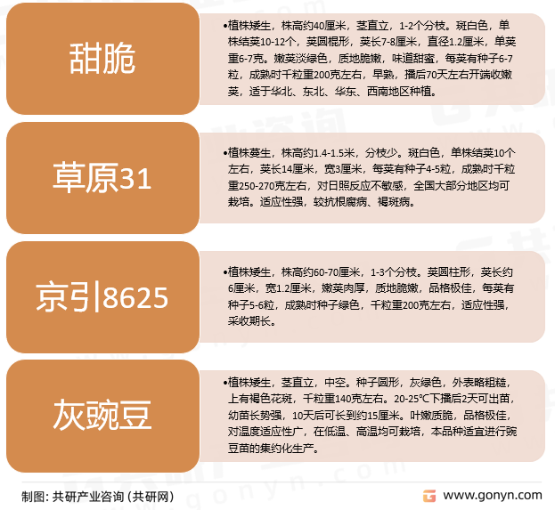 豌豆主要品种