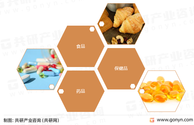 红曲米提取物主要应用领域