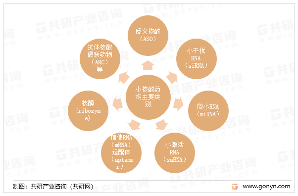 小核酸药物主要类别