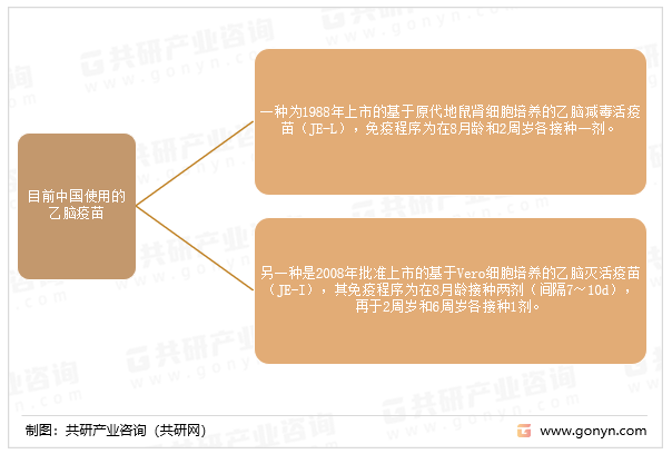 目前中国使用的乙脑疫苗