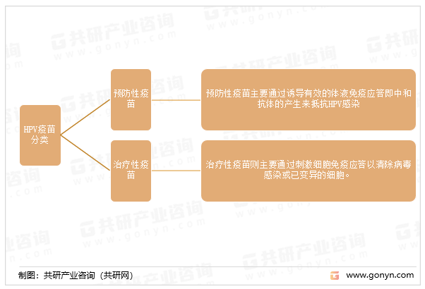 HPV疫苗分类