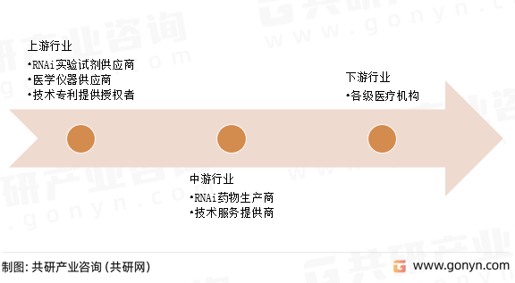 RNAi产业链分析