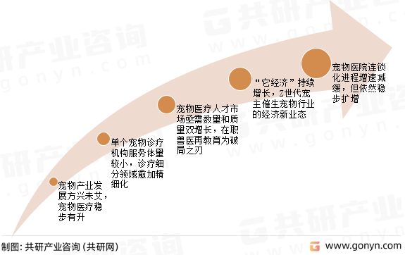宠物医疗行业未来展望