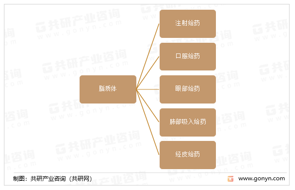 脂质体给药途经