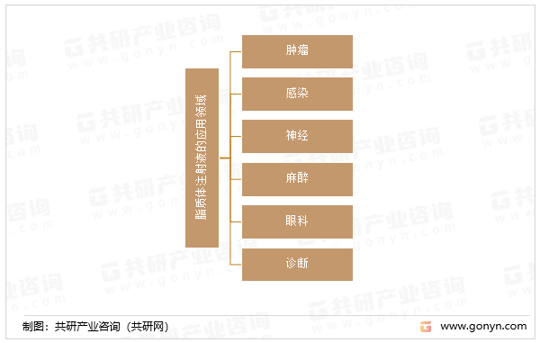 脂质体注射液的应用领域