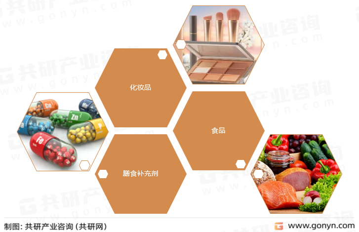 白藜芦醇主要应用领域