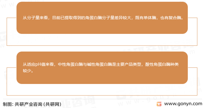 角蛋白酶主要产品类型