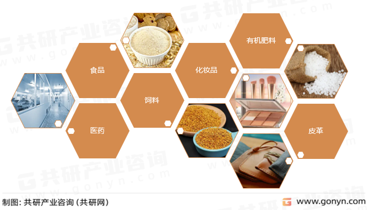 角蛋白酶主要应用领域