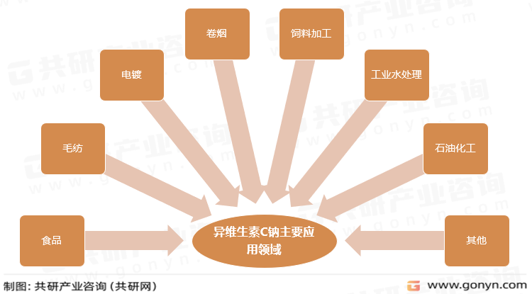 异维生素C钠主要应用领域