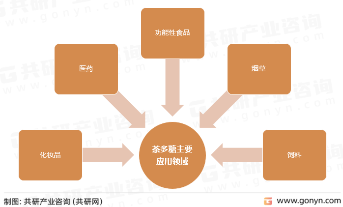 茶多糖主要应用领域