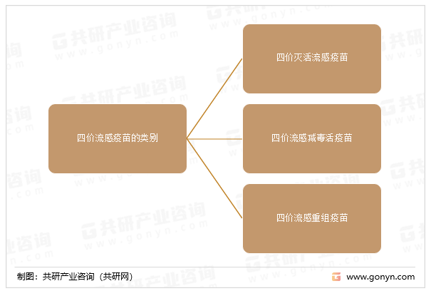 四价流感疫苗的类别