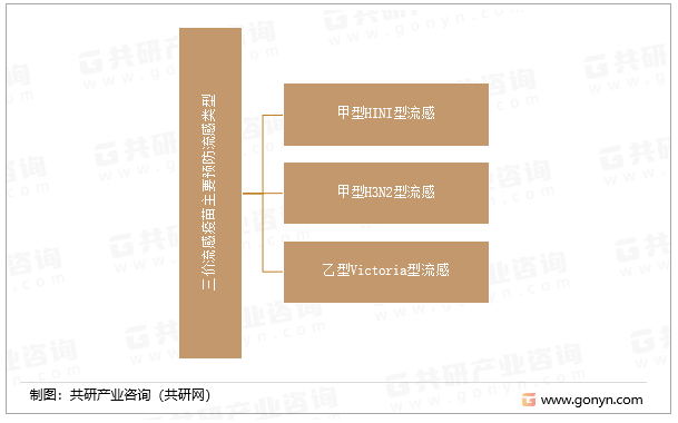 三价流感疫苗主要预防流感类型