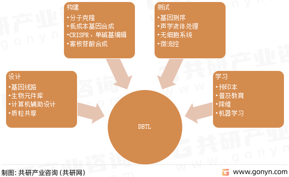 合成生物“设计-合成-测试-学习”模型