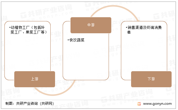 快饮蔬菜产业链