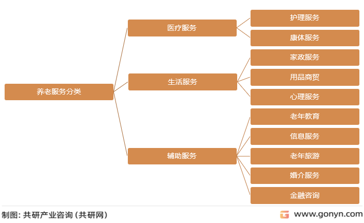 养老服务分类