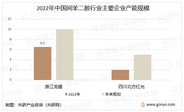 2022年中国间苯二胺行业主要企业产能规模（单位：万吨/年）