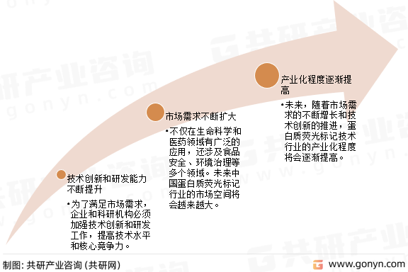 蛋白质荧光标记行业发展趋势