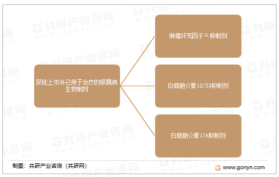 获批上市并已用于治疗银屑病的生物制剂