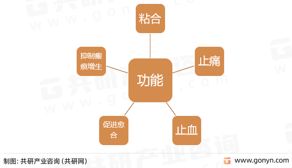 生物粘合剂功能