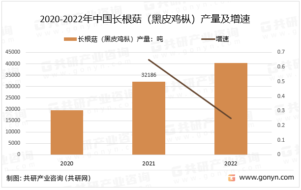 2020-2022年中国长根菇（黑皮鸡枞）产量及增速