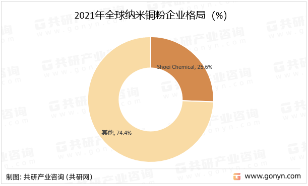 2021年全球纳米铜粉企业格局