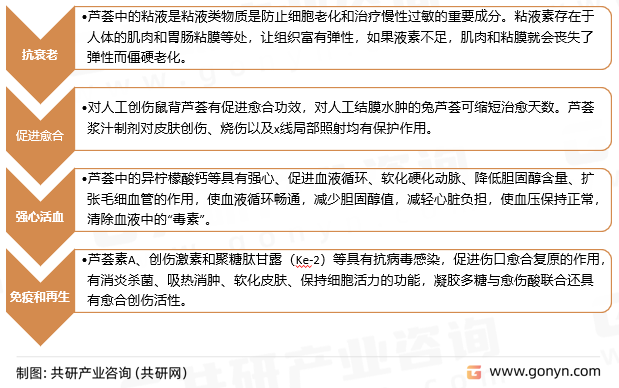 芦荟保健价值