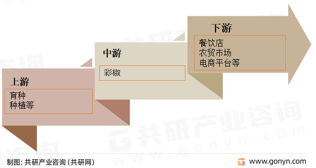 彩椒产业链