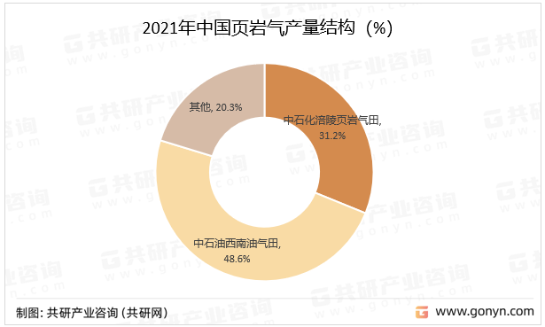 2021年中国页岩气产量结构（%）