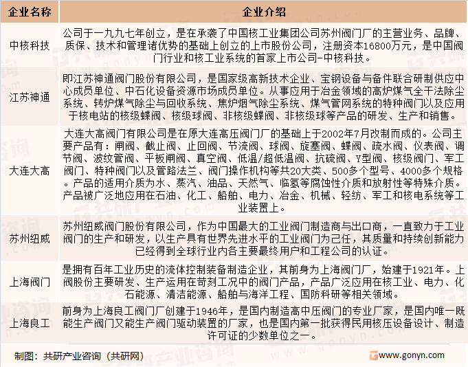 中国核电阀门代表企业介绍