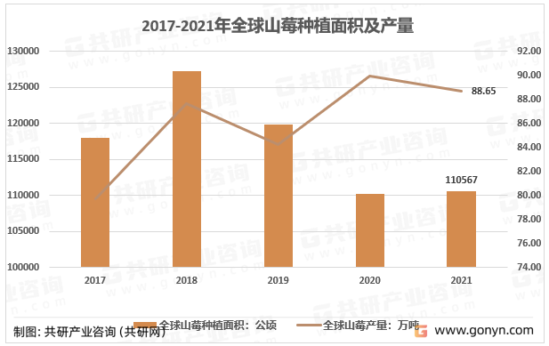 2017-2021年全球山莓种植面积及产量