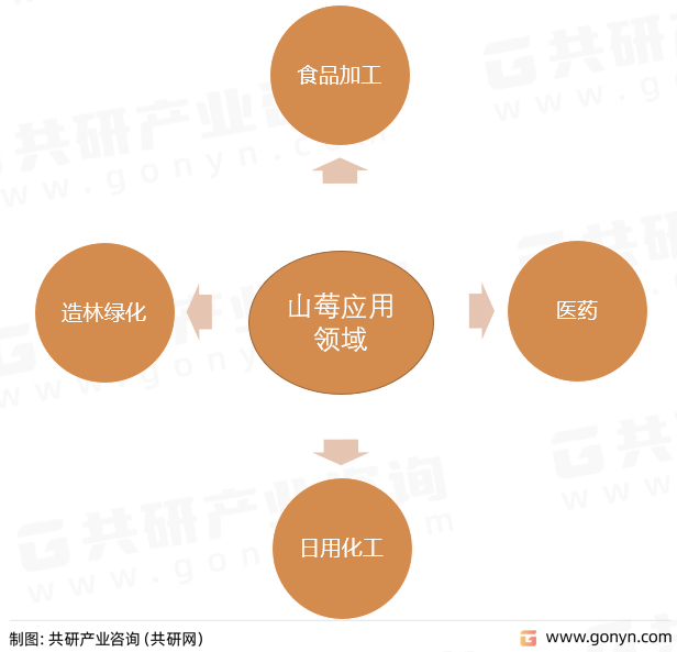 山莓功应用领域