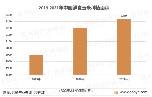 2019-2021年中国鲜食玉米种植面积