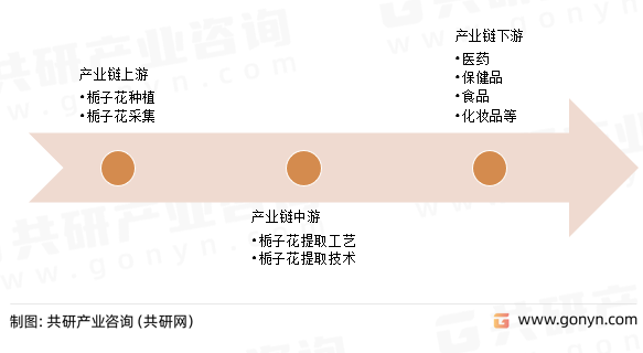 栀子黄色素行业产业链