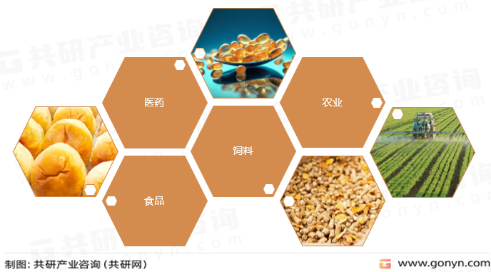 微生态制剂主要应用领域