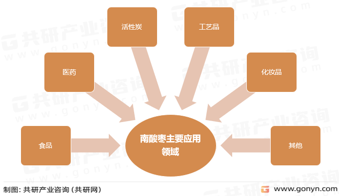 南酸枣主要应用领域
