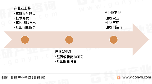 基因编辑产业链