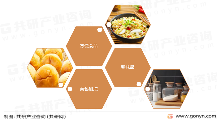 脱水蔬菜主要应用领域