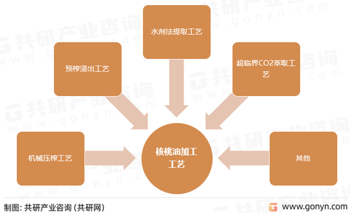 核桃油加工工艺