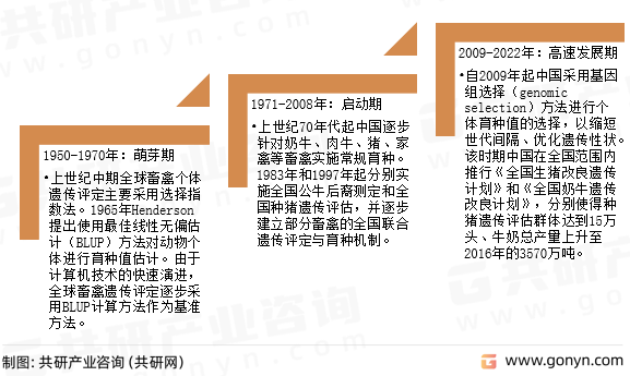 动物育种发展历程