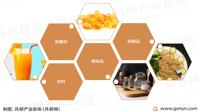 鹰嘴豆蛋白主要应用领域